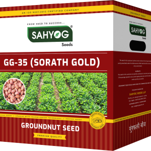 GG 35 (SORATH GOLD)