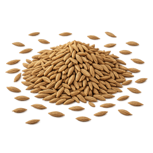Cumin