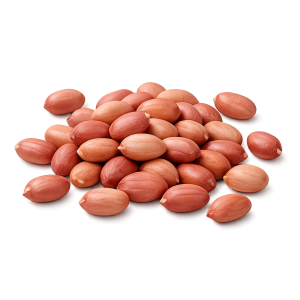 Groundnuts