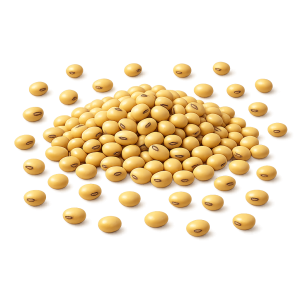 Soyabean